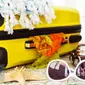 Agar tak perlu menggunakan bagasi saat traveling, Anda butuh trik untuk packing. (iStockphoto)