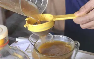 3 Tanaman Herbal Indonesia Ini Mendunia karena Khasiatnya