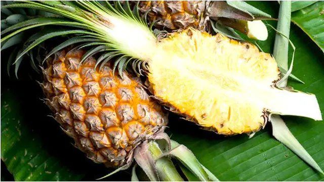 Photo: Copyright Thinkstockphotos.com