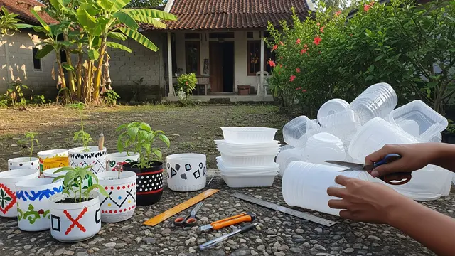 Cara Membuat Pot Tanaman dari Thinwall Bekas