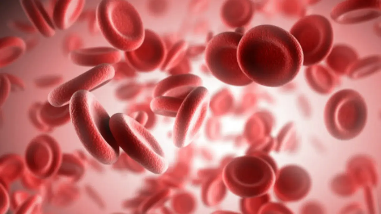 Ilustrasi sel darah merah