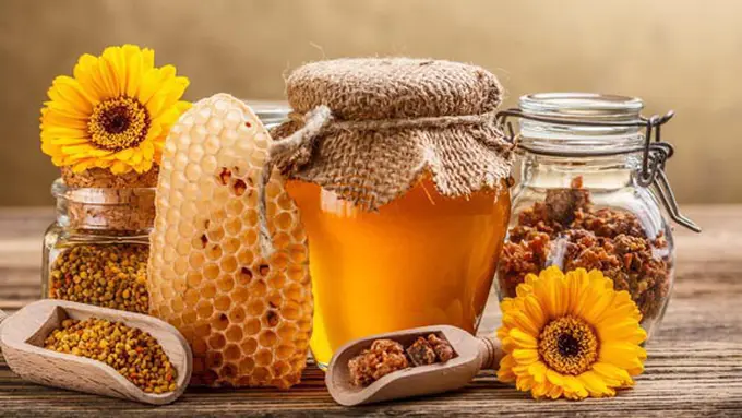 Copyright by Shutterstock.com