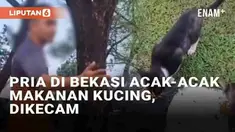 Media sosial dibuat kesal oleh ulah seorang pria di Bekasi yang mengganggu kucing jalanan. Insiden bermula dari seorang warga yang memberi makan ke kucing-kucing di Perumahan Kemang Pratama pada Minggu (4/8/2024). Namun seorang pria yang tengah berol...