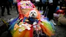 Seekor anjing mengenakan kostum warna-warni saat menghadiri Tompkins Square Halloween Dog Parade di Manhattan, New York City, Amerika Serikat, Minggu (20/10/2019). (Johannes EISELE/AFP)