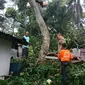 Angin kencang menerjang Banyumas, Jawa Tengah, Minggu sore, 11 November 2018. (Liputan6.com/Tagana Banyumas/Muhamad Ridlo)