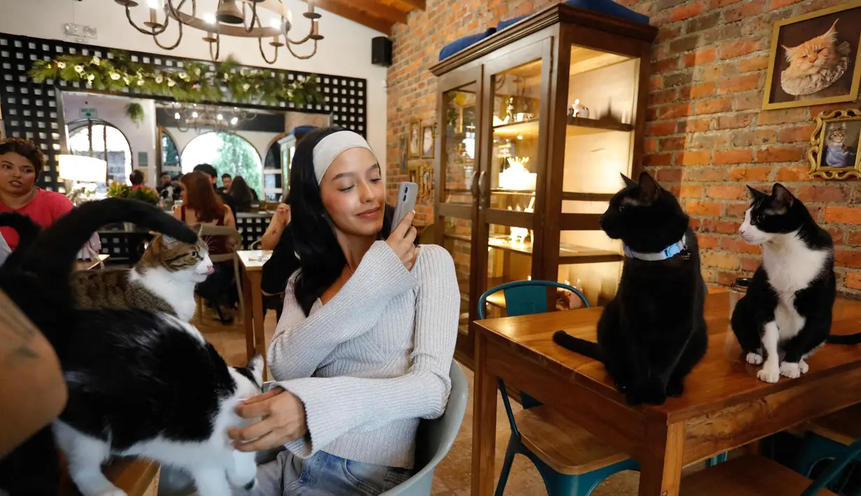 Seorang wanita memotret kucing-kucing di kedai kopi La Gatoria Cat Cafe di Medellin, Kolombia, pada tanggal 16 April 2024. (JAIME SALDARRIAGA/AFP)
