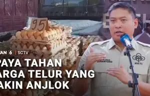 Upaya Tahan Harga Telur yang Makin Anjlok