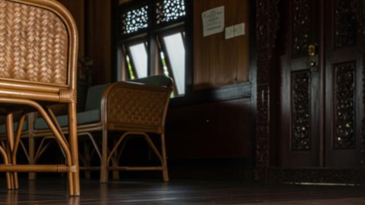 Ular Emprit Sering Masuk Rumah? Ini Cara Mengusirnya yang Aman Tanpa Racun