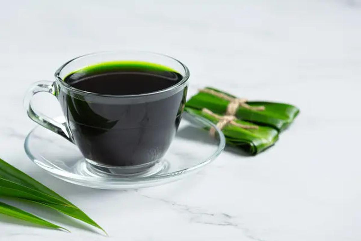 Cara Merebus Daun Pandan untuk Asam Urat dan Darah Tinggi, Pastikan Pilih Daun Segar dan Berwarna Hijau Cerah