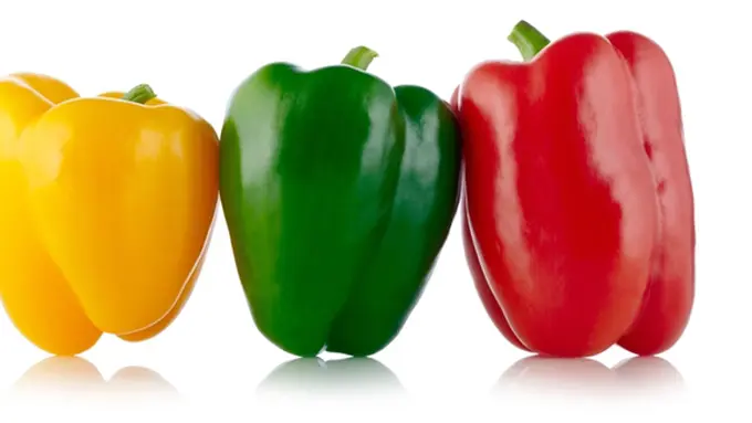 Courtesy ShutterStock.com