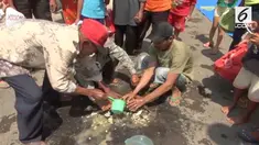 Warga di Jombang punya tradisi memandikan kucing untuk mendatangkan hujan pada musim kemarau.