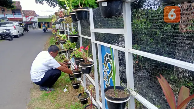 Salah satu Paranet Vertical Garden yang dipasang di salah satu sungai di wilayah kota Banyuwangi. (Hermawan Arifianto/Liputan6.com)