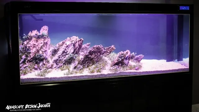 Aquascape oleh Aquascape Design Jakarta
