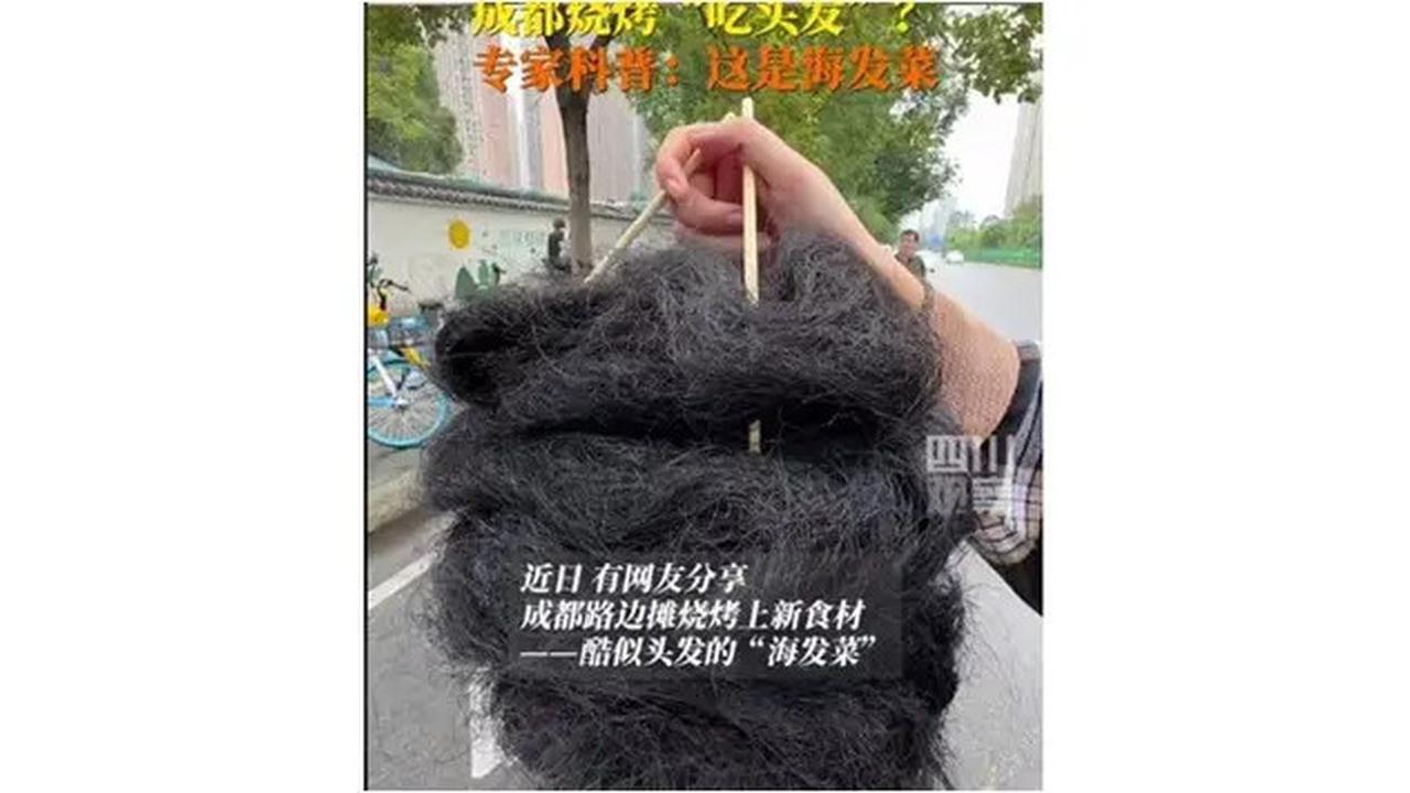 Viral Street Food China Mirip Segumpal Rambut Hitam, Laris Buat Camilan