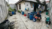 7 Ide Ternak Mini untuk Halaman Full Cor Beton yang Tetap Tidak Bau, Cocok untuk Rumah dengan Lahan Terbatas