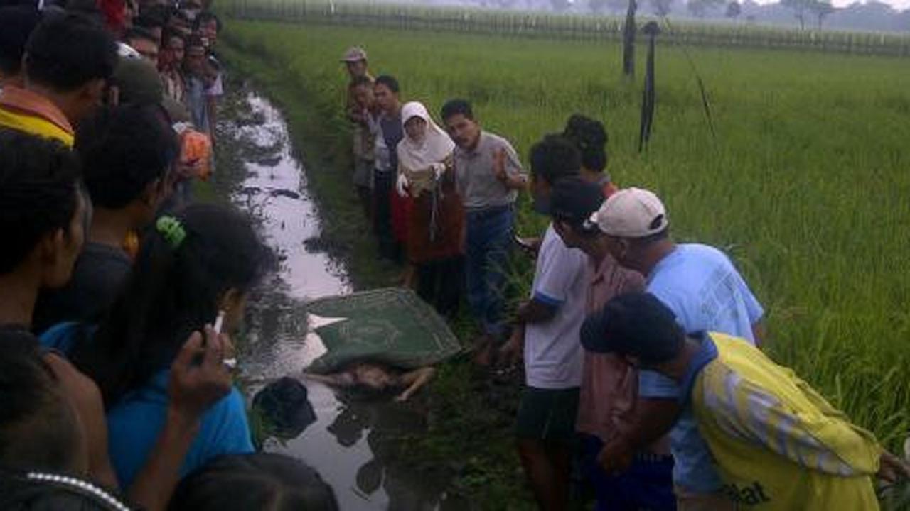Mayat perempuan setengah bugil di sawah gegerkan warga