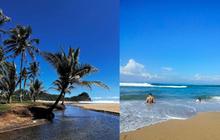 Pesona Pantai Wonogoro Malang, Pertemuan Sungai dan Laut Hasilkan Senja Menawan, Cocok Dikunjungi saat Kemarau