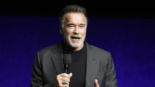 Arnold Schwarzenegger. (Chris Pizzello/Invision/AP, File)