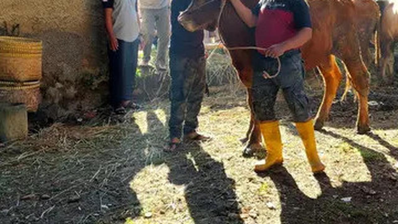 6 Cara Jaga Kadar Kolesterol di Hari Raya Idul Adha