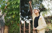 8 Potret Maudy Ayunda Panen Singkong dan Meramban Daun di Hutan Kalimantan