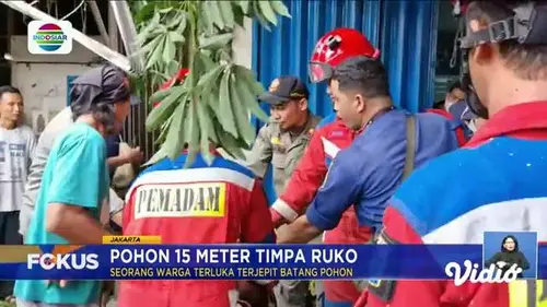Fokus : Hujan Lebat Sebabkan Banjir Melanda di Sejumlah Wilayah Indonesia