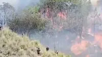 Kebakaran terjadi lagi di Gunung Bromo pada Sabtu, 22 Juni 2024. (Dok: @infoprpbolinggo https://www.instagram.com/infoprobolinggo/?hl=en)