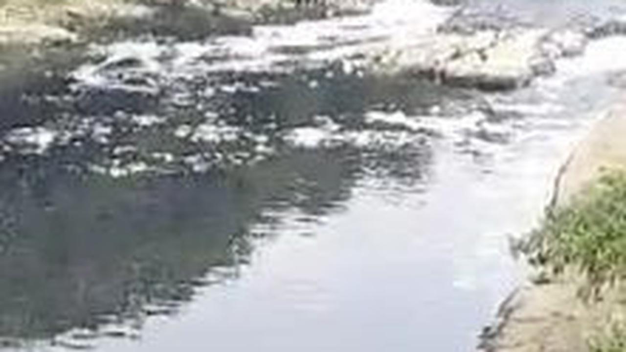 Sungai Cileungsi Menghitam, Bau sampai Ikan Mati, Bupati Bogor Diundang Susuri Aliran yang Tercemar