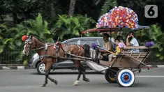 Kusir delman saat mengangkut wisatawan berkeliling kawasan Monumen Nasional (Monas), Jakarta Pusat, Minggu (8/1/2023). Pemkot Jakarta Pusat berencana melarang delman beroperasi di kawasan Monas karena kotoran kuda yang berceceran di jalan dinilai menimbulkan bau tak sedap. Plt Wakil Wali Kota Administrasi Jakarta Pusat Iqbal mengatakan pihaknya bakal membentuk gugus tugas merealisasikan kebijakan tersebut. (merdeka.com/Iqbal S. Nugroho)