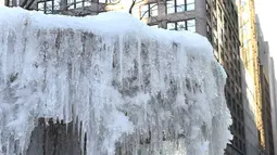 Air mancur Josephine Shaw Lowell yang membeku di Taman Bryant, New York, Selasa (2/1). Cuaca sangat dingin menjadi pembuka tahun baru bagi sebagian besar warga di wilayah tengah dan utara Amerika Serikat. (AFP PHOTO / TIMOTHY A. CLARY)
