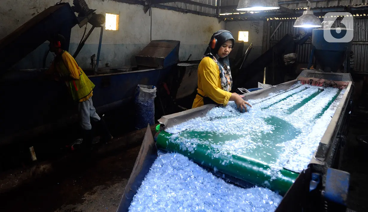 Seorang pekerja memilah plastik cacah di Koperasi Pemulung Berdaya, Setu, Tangerang Selatan, Banten, Rabu (20/9/2023). Koperasi tersebut mempekerjakan sekitar 50 pemulung dan sudah berjalan lebih dari 10 tahun. (merdeka.com/Arie Basuki)