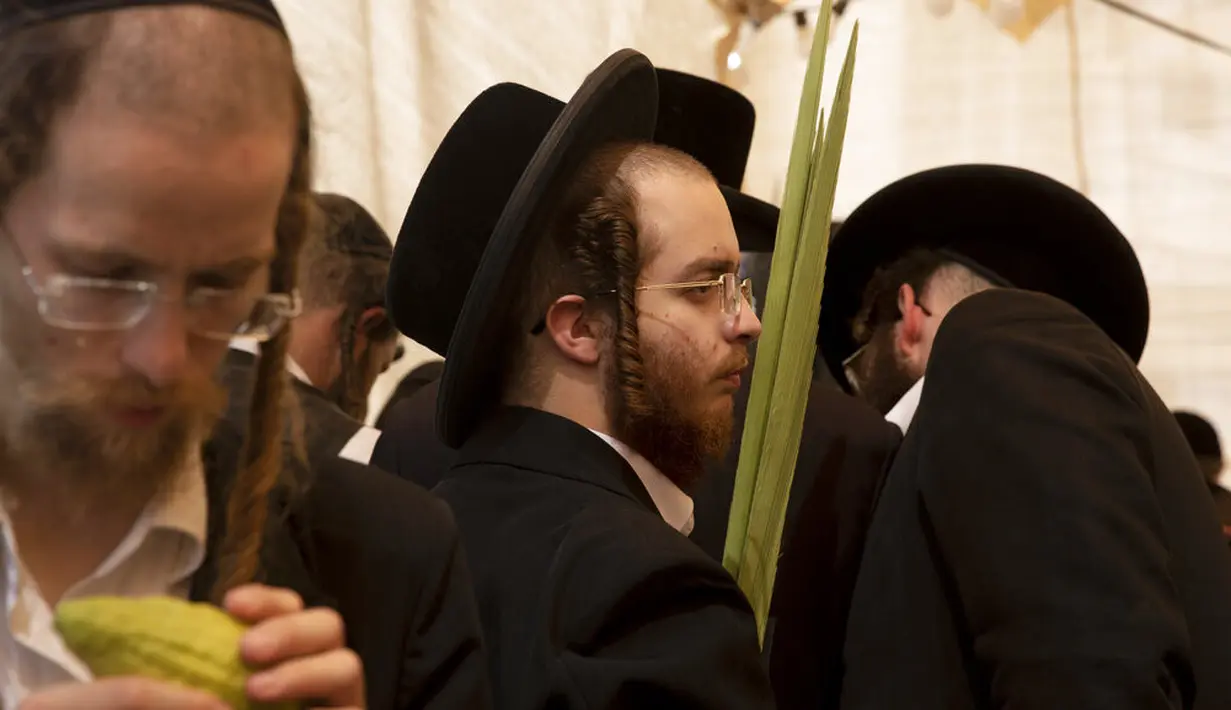 Warga Yahudi ultra-Ortodoks memeriksa buah jeruk etrog yang akan digunakan dalam ritual Sukkot di Yerusalem, Senin (20/9/2021). Jeruk Etrog dalam kitab Torah tertulis sebagai buah suci. Sukkot merupakan satu dari tiga hari raya besar umat Yahudi. (AP Photo/Maya Alleruzzo)