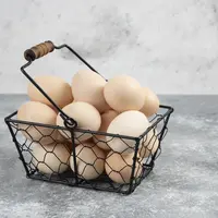 Ilustrasi telur (copyright Freepik)