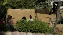 Presiden Amerika Serikat, Barack Obama (kiri) memeluk anaknya Sasha saat berkunjung ke di kebun binatang Honolulu, Hawaii, (2/1). Barack Obama dan keluarga telah 2 minggu berada di Hawaii. (REUTERS / Jonathan Ernst)