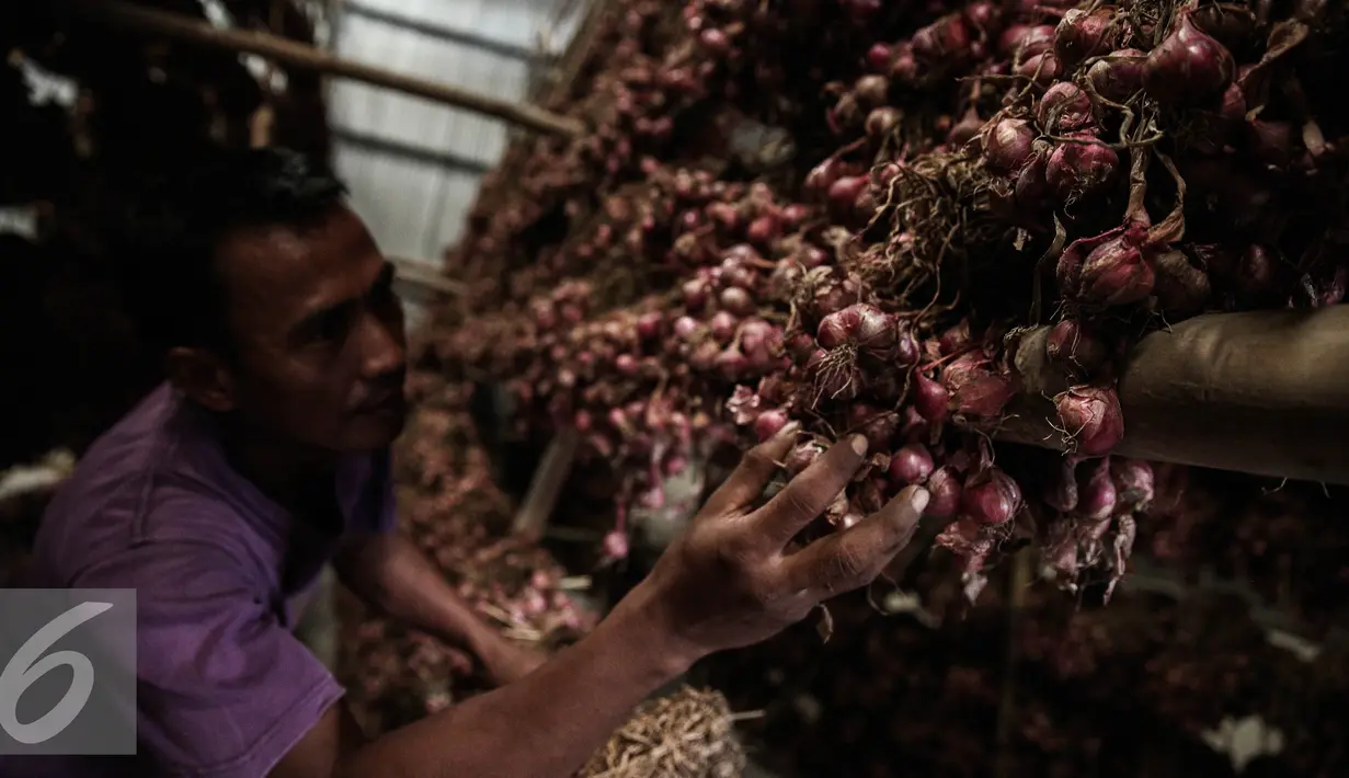 Pekerja mengeringkan bawang merah di Gudang Bulog, Jakarta, Senin (16/5). Sebanyak 23.000 ton bawang merah disiapkan Kementerian Pertanian menjelang bulan puasa dan lebaran. (Liputan6.com/Faizal Fanani)