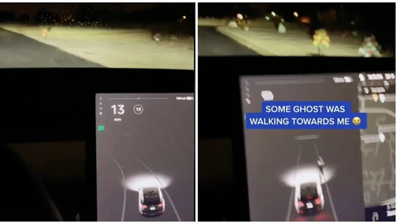 Bukan karena Canggih, Viral Pria Beli Mobil Tesla untuk Lihat Penampakan