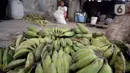 Pekerja mengupas kulit pisang untuk dijadikan keripik di Desa Cogreg, Parung Bogor, Jawa Barat, Kamis (3/9/2020). Keripik Pisang tersebut akan dikirim ke pasar dengan harga Rp 35 ribu untuk menambah pilihan oleh-oleh dari Kota Hujan. (merdeka.com/Dwi Narwoko)