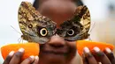 Bocah bernama Bjorn tersenyum saat berpose dengan kupu-kupu Owl peluncuran pameran Sensasional Butterflies di Museum Sejarah Alam, London, Inggris 23 Maret 2016. (REUTERS / Dylan Martinez)
