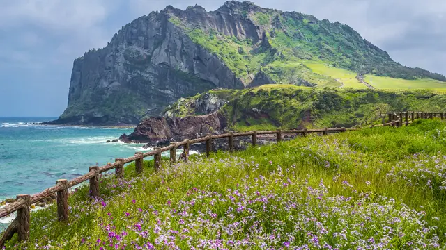 Jeju Island