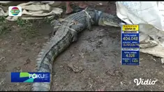Fokus Pagi mengangkat berita-berita di antaranya, Lokasi Wisata Diserbu Pengunjung, Puluhan Wisatawan Ditemukan Reaktif Covid-19, Kawanan Jambret Incar Pesepeda, Serangan Teror Tewaskan 3 Orang Di Prancis.