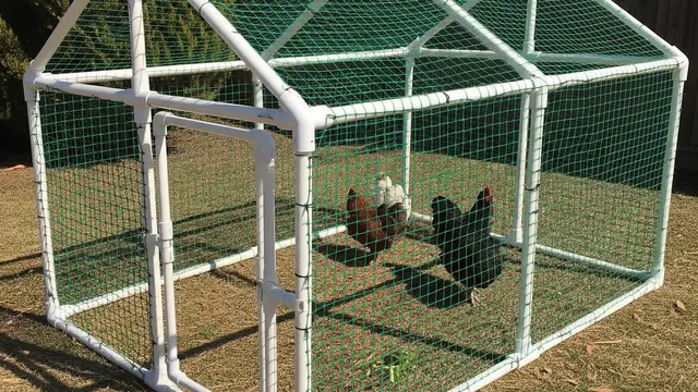 Model Kandang Ayam Ramah Lingkungan dari Bahan Daur Ulang (AI)