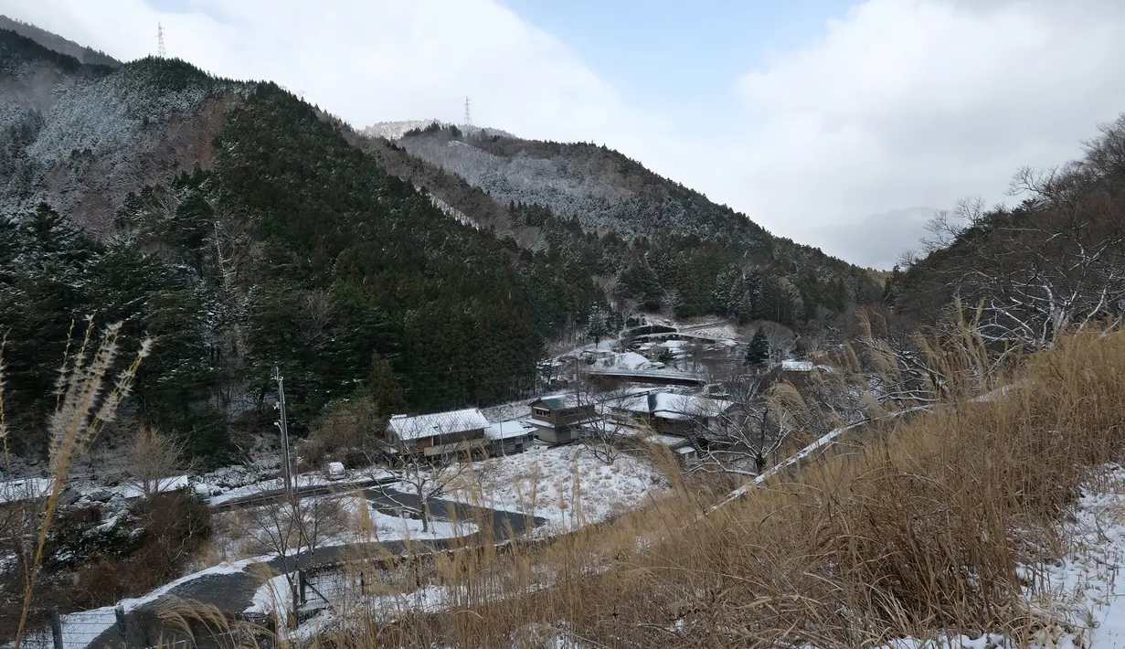 Pemandangan desa kecil Nagoro di Jepang, 16 Maret 2019. Desa Nagoro terletak di pengunungan selatan Pulau Shikoku. (KAZUHIRO NOGI/AFP)