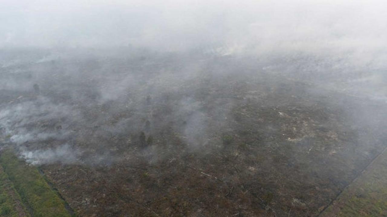 Ini foto mengerikan asap kebakaran hutan Riau dari udara