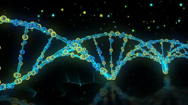 Ilustrasi DNA