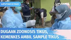 Kementerian Kesehatan mengambil sample dari tikus untuk memastikan penyakit zoonosis yang ditemukan di Kawasan Cilandak. Sebelumnya warga yang diduga terpapar menyebut alami gejala demam, bercak merah di tangan serta lemas.