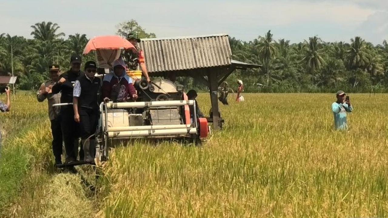 Fakta Unik: Pasaman Barat Terima 65,3 Ton Bantuan Benih Padi dari Kementan, Siap Tingkatkan Ketahanan Pangan 2025!