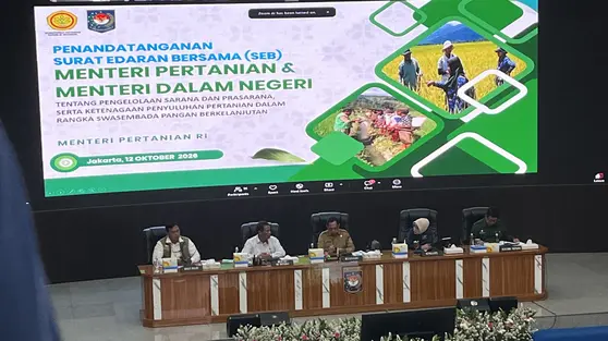 Harga Beras Naik di 127 Daerah, Tito Minta Pemda Segera Intervensi