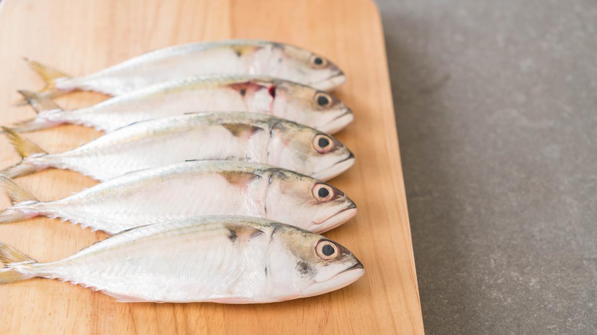 Cegah Stunting, Mahasiswa Jatim Ajak Para Ibu Bikin Nugget dari Ikan Kembung