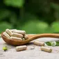 Ilustrasi obat herbal. (Shutterstock/Fecundap stock)