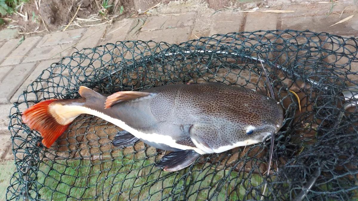 11 Spot Mancing Terbaik di Cikarang 2025, Nyaman dan Cocok untuk Santai