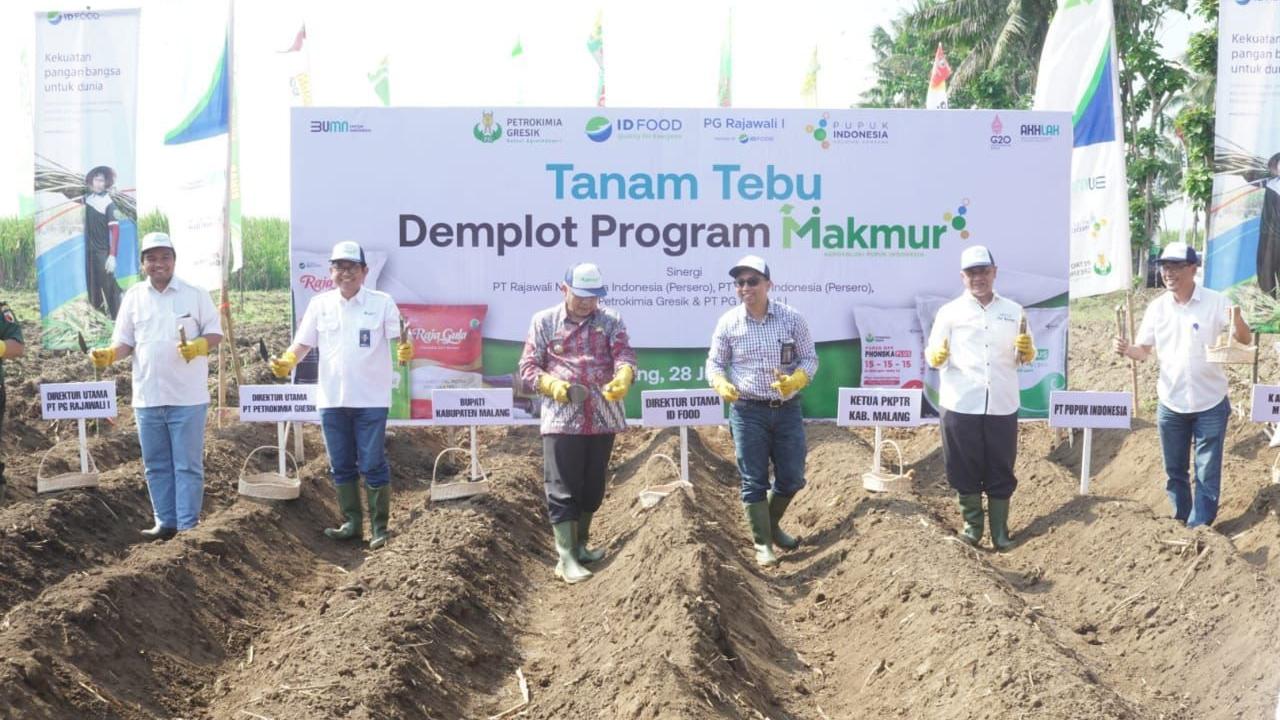 Kegiatan panen dan tanam tebu melalui program Petani Makmur di lahan percontohan Demonstration Plot (Demplot) di Malang Jawa Timur. (Dok ID Food)